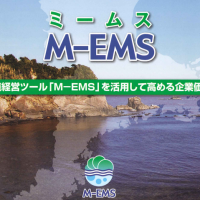 M-EMSミームス